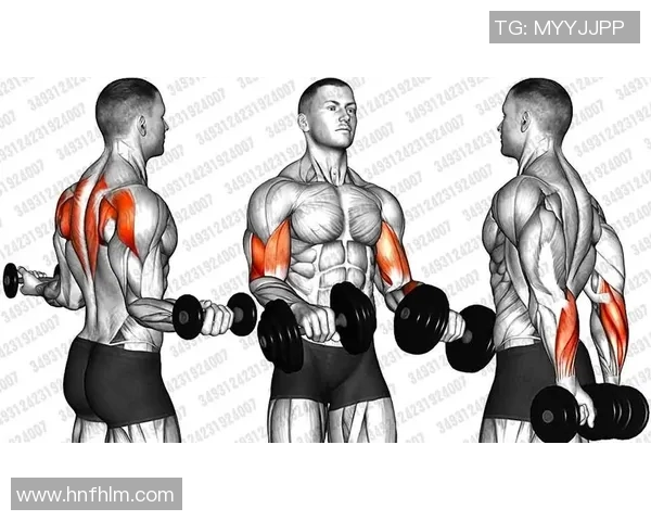 哑铃二头训练全攻略打造完美手臂线条的秘诀与技巧分享
